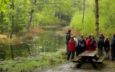 Flere turister til fjordbyerne